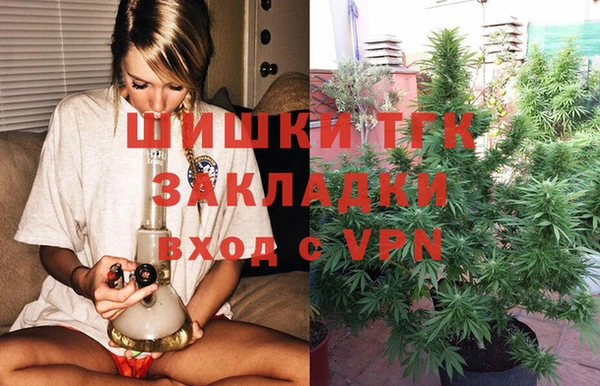 ешки Снежногорск