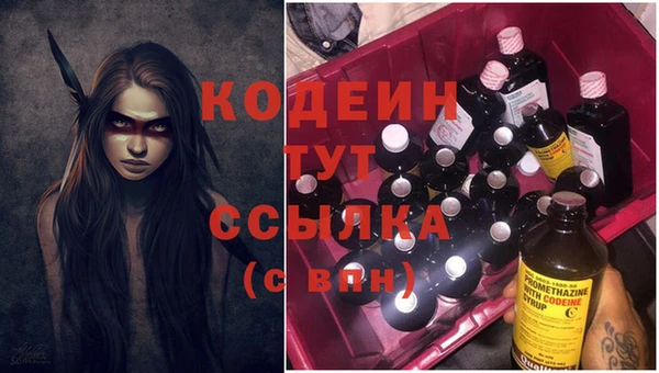 ешки Снежногорск