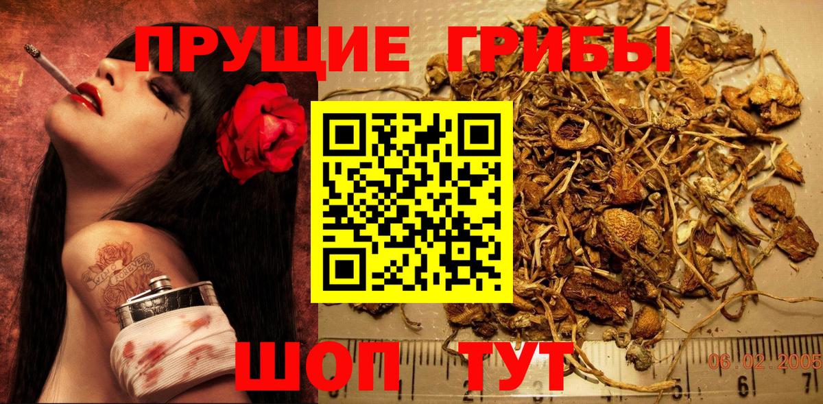 Галлюциногенные грибы Magic Shrooms Сургут